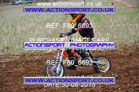 Photo: F80_6693 ActionSport Photography 30/08/2015 YMSA Poole & Parkstone MC - Wintebrourne Gunner  _5_Autos