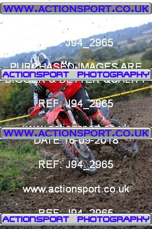 Photo: J94_2965 ActionSport Photography 16/09/2018 AMCA Mid Wilts MXC - Bushton  _1_ExpertsMX1-MX2 #33