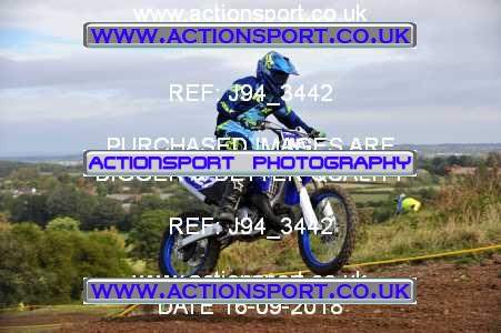 Photo: J94_3442 ActionSport Photography 16/09/2018 AMCA Mid Wilts MXC - Bushton  _4_SeniorsMX1 #427
