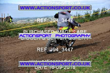Photo: J94_3447 ActionSport Photography 16/09/2018 AMCA Mid Wilts MXC - Bushton  _4_SeniorsMX1 #684