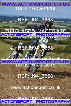 Photo: J94_3668 ActionSport Photography 16/09/2018 AMCA Mid Wilts MXC - Bushton  _5_JuniorsMX2 #230